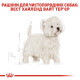 Сухий корм для собак Royal Canin West Highland White Terrier Adult 3 кг Royal Canin – купити зі знижкою %