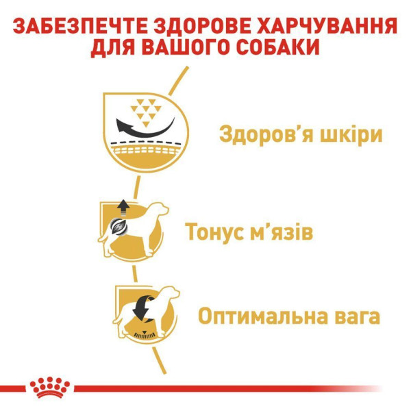 Сухий корм для собак Royal Canin Pug Adult 1,5 кг Royal Canin – купити зі знижкою %