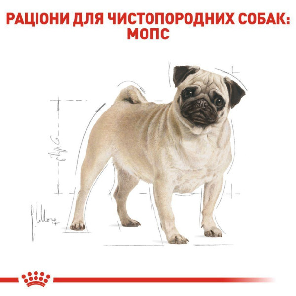 Сухий корм для собак Royal Canin Pug Adult 1,5 кг Royal Canin – купити зі знижкою %