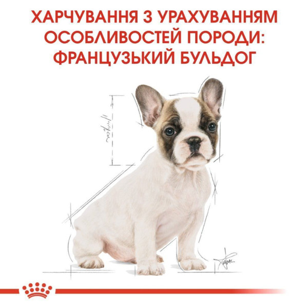 Сухий корм для цуценят Royal Canin French Bulldog Puppy 1 кг Royal Canin – купити зі знижкою %