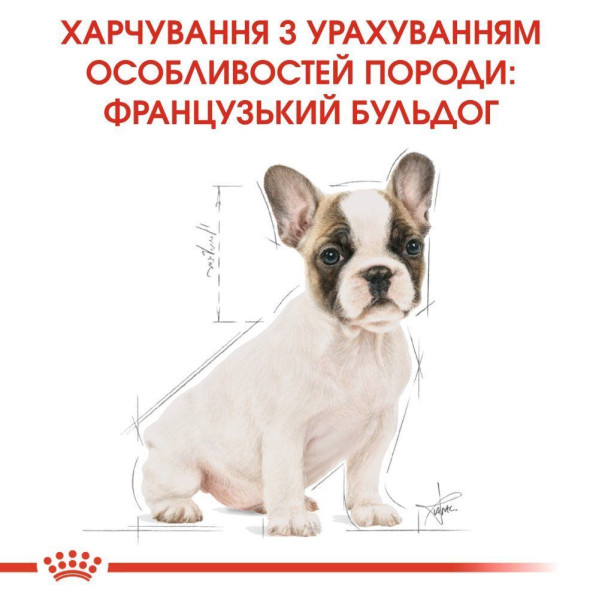 Сухий корм для цуценят Royal Canin French Bulldog Puppy 1 кг Royal Canin – купити зі знижкою %