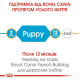 Сухий корм для цуценят Royal Canin French Bulldog Puppy 1 кг Royal Canin – купити зі знижкою %