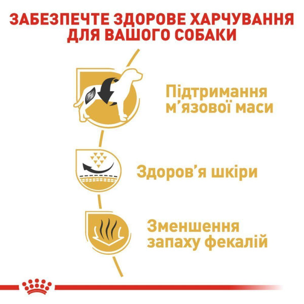 Сухий корм для собак Royal Canin French Bulldog Adult 1,5 кг Royal Canin – купити зі знижкою %