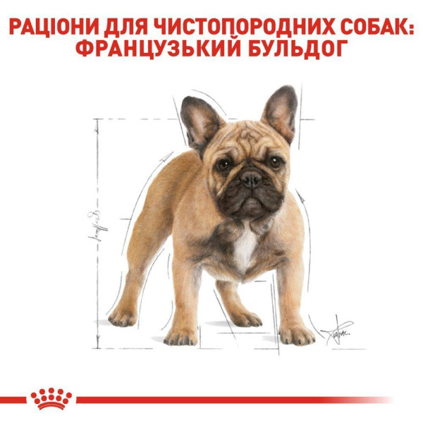 Сухий корм для собак Royal Canin French Bulldog Adult 1,5 кг Royal Canin – купити зі знижкою %