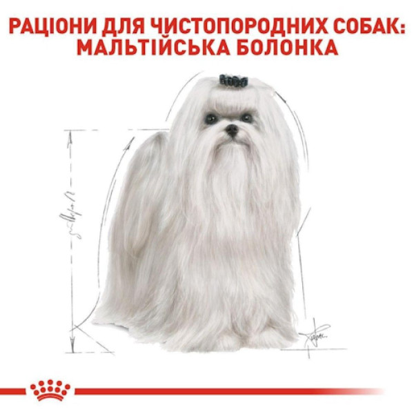 Сухий корм для собак Royal Canin Maltese Adult 1,5 кг Royal Canin – купити зі знижкою %