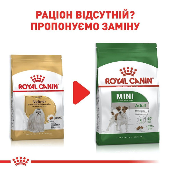 Сухий корм для собак Royal Canin Maltese Adult 1,5 кг Royal Canin – купити зі знижкою %