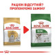 Сухий корм для собак Royal Canin Maltese Adult 1,5 кг Royal Canin – купити зі знижкою %