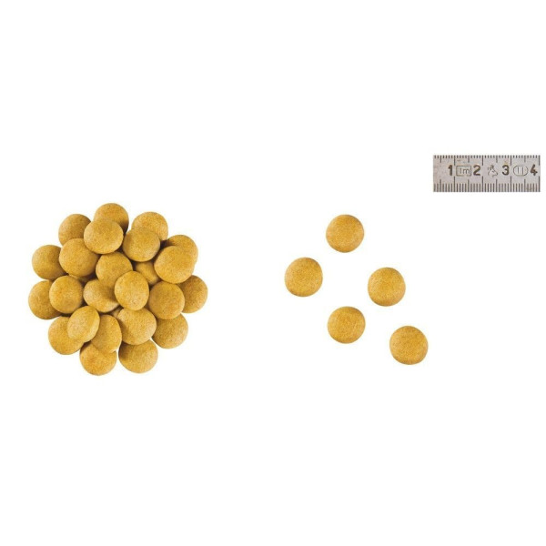 Сухий корм для собак Royal Canin Anallergenic 8 кг Royal Canin – купити зі знижкою %