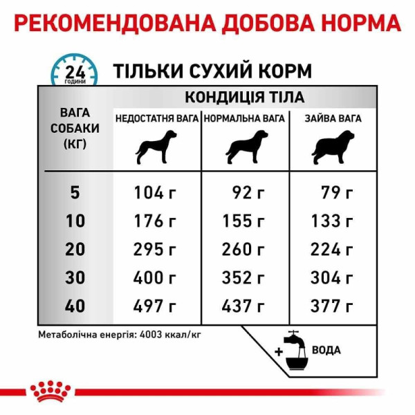 Сухий корм для собак Royal Canin Anallergenic 8 кг Royal Canin – купити зі знижкою %