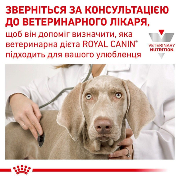 Вологий корм для котів Royal Canin Recovery Loaf 195 г (1 упак 12 шт) Royal Canin – купити зі знижкою %