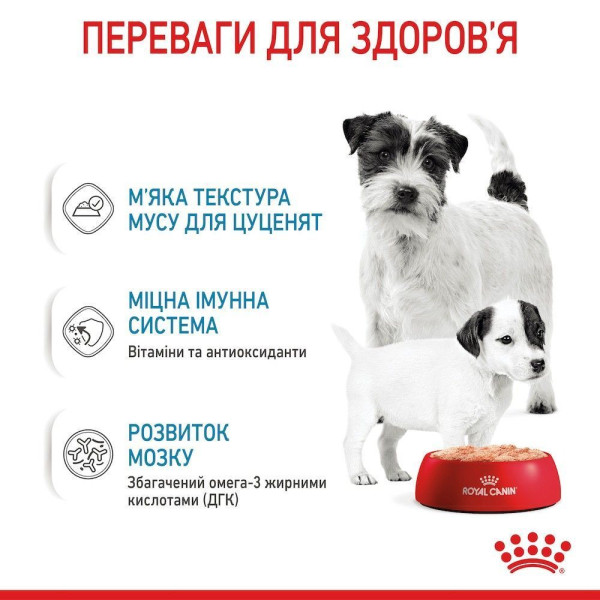 Вологий корм для цуценят та годуючих собак Royal Canin Royal Starter Mousse 195 г (12 шт упаковка) Royal Canin – купити зі знижкою %