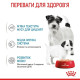 Вологий корм для цуценят та годуючих собак Royal Canin Royal Starter Mousse 195 г (12 шт упаковка) Royal Canin – купити зі знижкою %