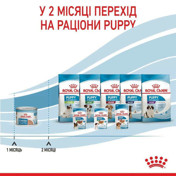 Вологий корм для цуценят та годуючих собак Royal Canin Royal Starter Mousse 195 г (12 шт упаковка) Royal Canin – купити зі знижкою %