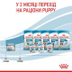Вологий корм для цуценят та годуючих собак Royal Canin Royal Starter Mousse 195 г (12 шт упаковка) Royal Canin – купити зі знижкою %