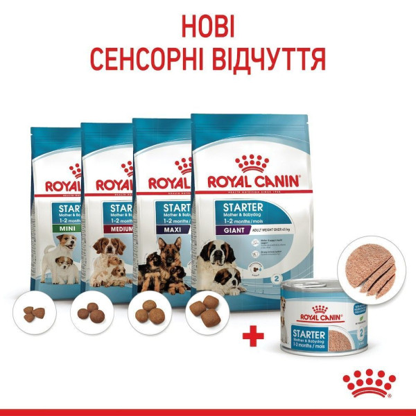 Вологий корм для цуценят та годуючих собак Royal Canin Royal Starter Mousse 195 г (12 шт упаковка) Royal Canin – купити зі знижкою %