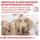 Сухий корм для собак Royal Canin Diabetic 1,5 кг Royal Canin – купити зі знижкою %