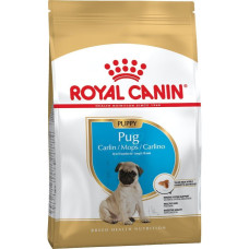 Сухий корм для цуценят Royal Canin Pug Puppy 1,5 кг