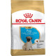 Сухий корм для цуценят Royal Canin Pug Puppy 1,5 кг Royal Canin – купити зі знижкою %