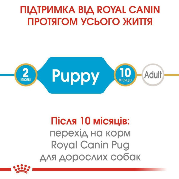 Сухий корм для цуценят Royal Canin Pug Puppy 1,5 кг Royal Canin – купити зі знижкою %