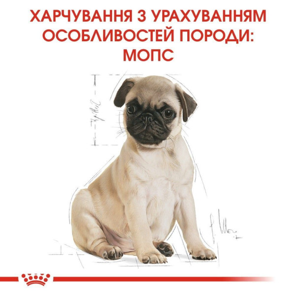 Сухий корм для цуценят Royal Canin Pug Puppy 1,5 кг Royal Canin – купити зі знижкою %