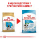 Сухий корм для цуценят Royal Canin Pug Puppy 1,5 кг Royal Canin – купити зі знижкою %