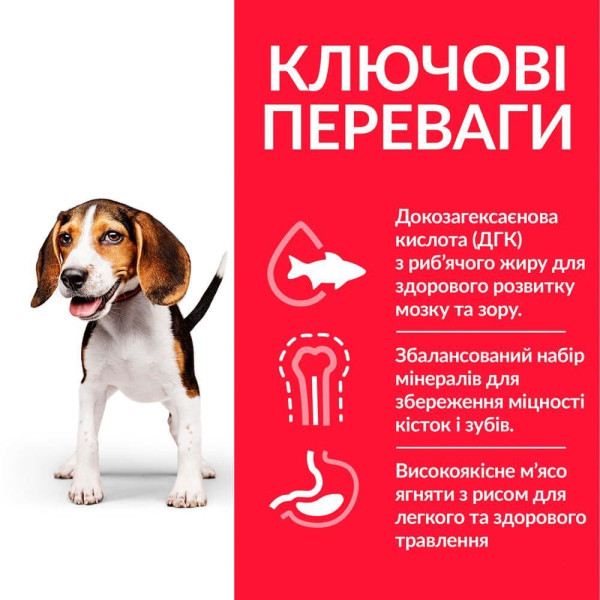 Сухой корм для щенков Hill’s Science Plan Puppy Medium Breed 2,5 кг - ягненок и рис Hills – купить со скидкой