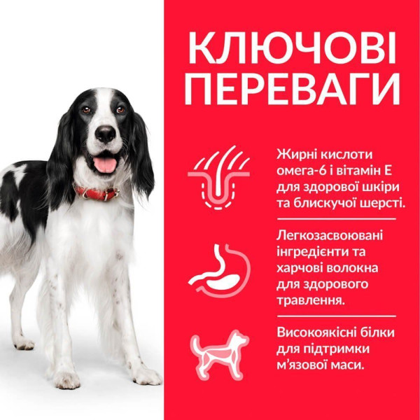 Сухой корм для собак Hill’s Science Plan Adult Medium Breed 6 кг - курица Hills – купить со скидкой