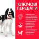 Сухой корм для собак Hill’s Science Plan Adult Medium Breed 6 кг - курица Hills – купить со скидкой
