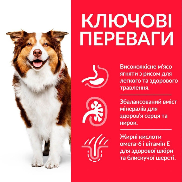 Сухой корм для собак Hill’s Science Plan Mature Adult 7+ Medium Breed 2,5 кг - ягненок и рис Hills – купить со скидкой