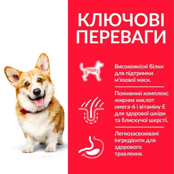 Сухой корм для собак Hill’s Science Plan Adult Small&Mini 6 кг - курица Hills – купить со скидкой