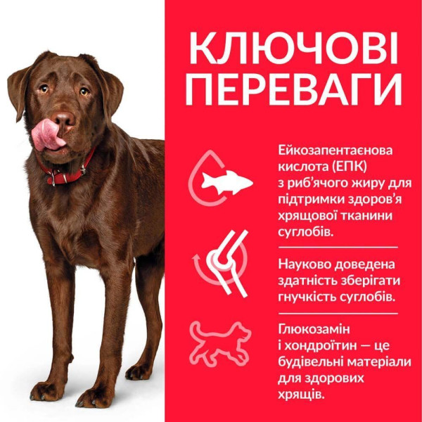 Сухой корм для собак Hill’s Science Plan Adult Healthy Mobility Large Breed 14 кг - курица Hills – купить со скидкой