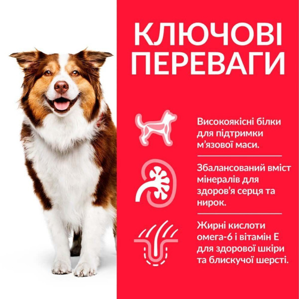 Сухой корм для собак Hill’s Science Plan Mature Adult 7+ Medium Breed 14 кг - курица Hills – купить со скидкой