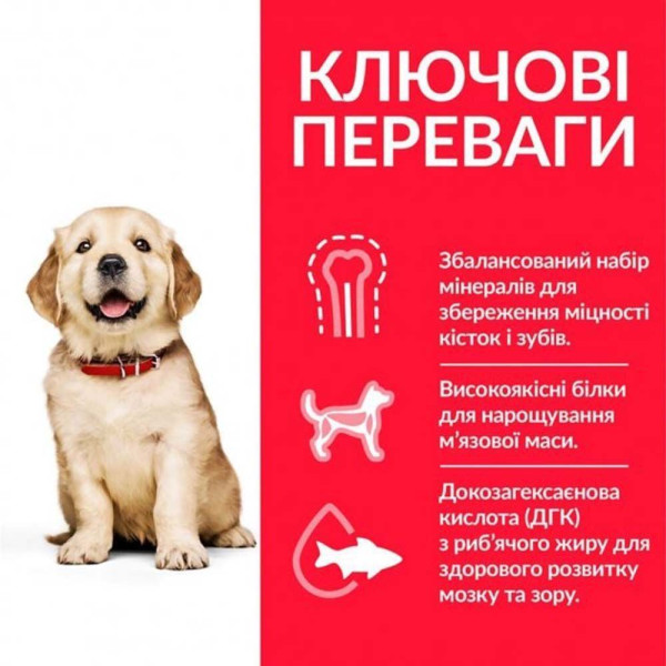 Сухой корм для щенков Hill’s Science Plan Puppy Large Breed 14,5 кг - курица Hills – купить со скидкой