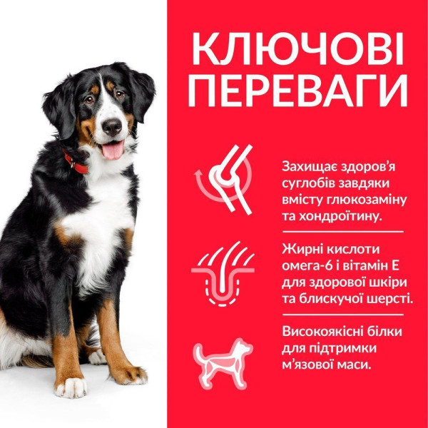Сухой корм для собак Hill’s Science Plan Adult Large Breed 14 кг - курица Hills – купить со скидкой