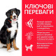 Сухой корм для собак Hill’s Science Plan Adult Large Breed 14 кг - курица Hills – купить со скидкой