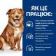 Сухой корм для собак Hill’s Prescription Diet Derm Complete 4 кг - яйцо и рис Hills – купить со скидкой