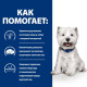 Сухой корм для собак Hill’s Prescription Diet Derm Complete Mini 1 кг - яйцо и рис Hills – купить со скидкой