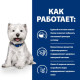 Сухой корм для собак Hill’s Prescription Diet Derm Complete Mini 1 кг - яйцо и рис Hills – купить со скидкой