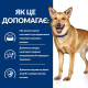 Влажный корм для собак Hill's Prescription Diet Digestive Care i/d 360 г(1 упаковка 12 шт) Hills – купить со скидкой