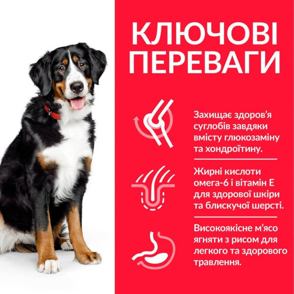 Сухой корм для собак Hill’s Science Plan Adult Large Breed 14 кг - ягненок и рис Hills – купить со скидкой