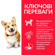 Сухой корм для собак Hill’s Science Plan Adult Small&Mini 6 кг - ягненок и рис Hills – купить со скидкой
