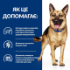 Влажный корм для собак Hill's Prescription Diet Gastrointestinal Biome 370 г(1 упаковка 12 шт) Hills – купить со скидкой
