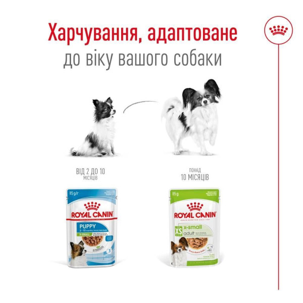 Вологий корм для собак Royal Canin X-Small Adult pouch 85 г (1 упак 12 шт) Royal Canin – купити зі знижкою %