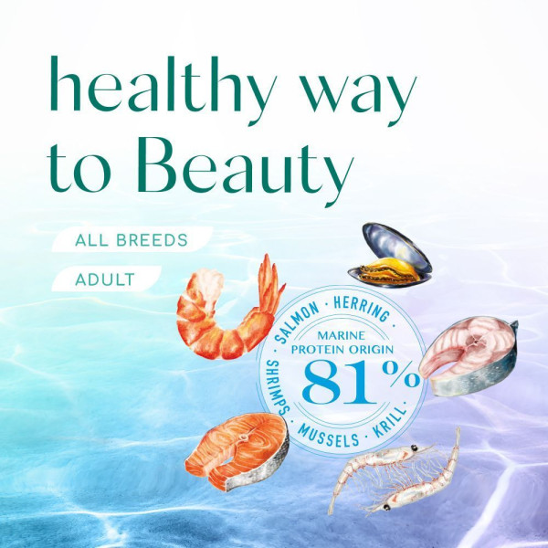 Сухий корм для собак усіх порід Optimeal Beauty Podium Shiny Coat & Dental Care 4 кг (морепродукти) Optimeal Beauty – купити зі знижкою %