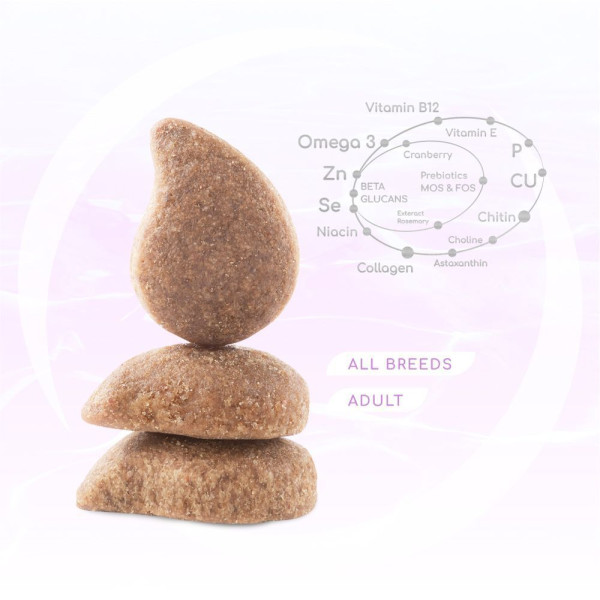 Сухий корм для собак усіх порід Optimeal Beauty Harmony із заспокійливим ефектом 4 кг (морепродукти) Optimeal Beauty – купити зі знижкою %