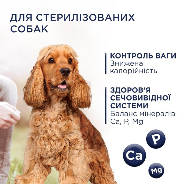 Сухий корм для собак Club 4 Paws Premium Adult Medium & Large Breeds Light 5 кг - індичка Club 4 Paws – купити зі знижкою %