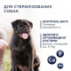 Сухий корм для собак Сlub 4 Paws Premium Adult Small Breeds Light 5 кг - індичка Club 4 Paws – купити зі знижкою %