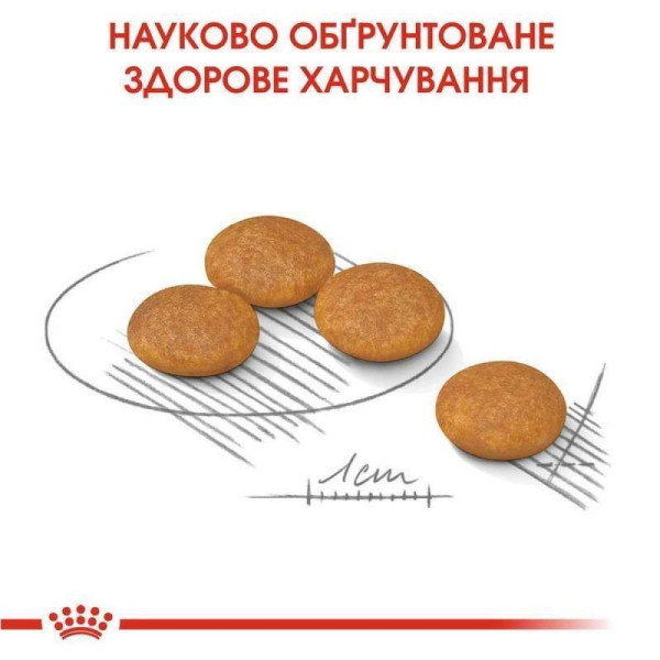 Royal Canin Mini Dermacomfort cухий корм для собак 3 кг Royal Canin – купити зі знижкою %