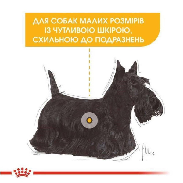 Royal Canin Mini Dermacomfort cухий корм для собак 3 кг Royal Canin – купити зі знижкою %