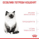 Сухий корм для кошенят Royal Canin Kitten 2 кг Royal Canin – купити зі знижкою %